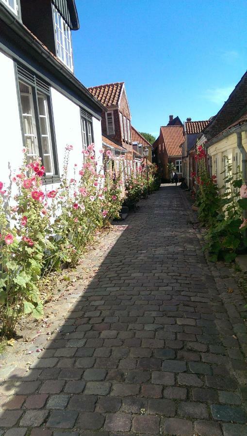Peder Dovns Slippe Villa Ribe Exteriör bild