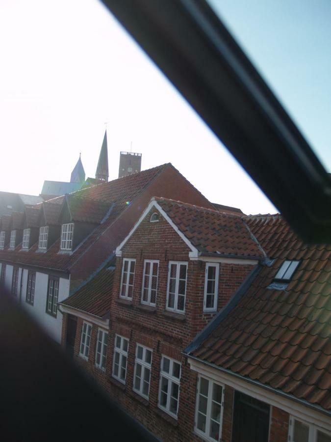 Peder Dovns Slippe Villa Ribe Exteriör bild